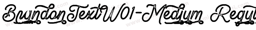 BrandonTextW01-Medium Regular字体转换